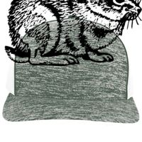 Aggressive Heather Trucker Snapback Cap Thumbnail