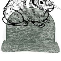 Aggressive Heather Trucker Snapback Cap Thumbnail