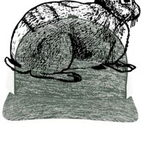 Aggressive Heather Trucker Snapback Cap Thumbnail