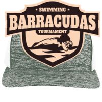 Aggressive Heather Trucker Snapback Cap Thumbnail