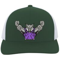 Trucker Snapback Cap Thumbnail