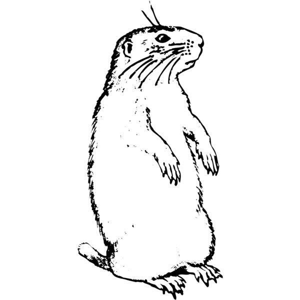 Gopher Thumbnail