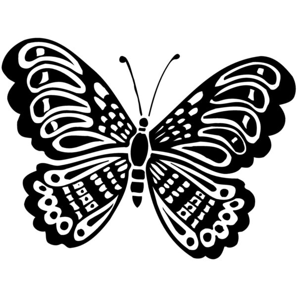 Butterflies Thumbnail