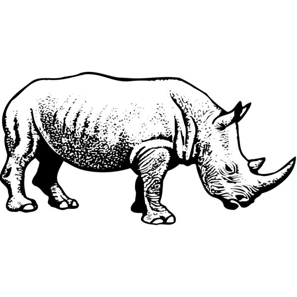 Rhino Thumbnail
