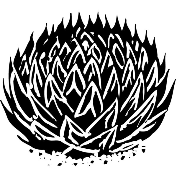 Cactus Thumbnail