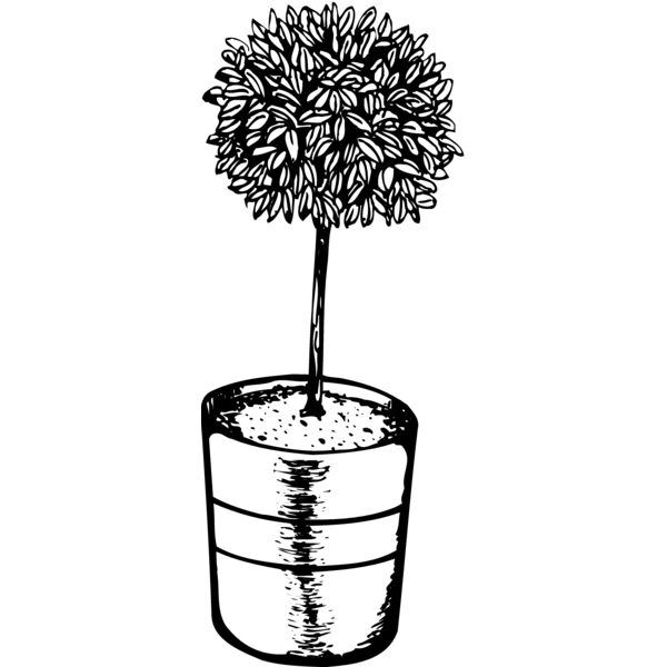 Trees Thumbnail