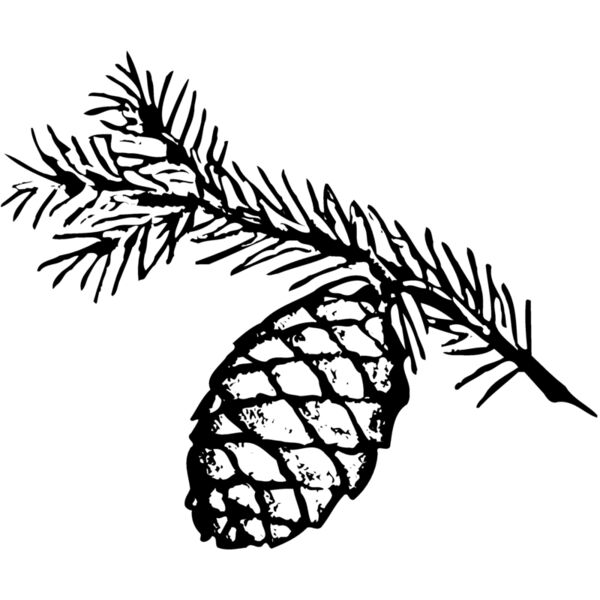 Pine Cone Thumbnail